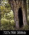 Kliknij obrazek, aby uzyskać większą wersję

Nazwa:	drzewo_ciach.jpg
Wyświetleń:	61
Rozmiar:	358,0 KB
ID:	34807