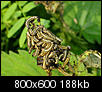 Kliknij obrazek, aby uzyskać większą wersję

Nazwa:	P7121422.JPG
Wyświetleń:	106
Rozmiar:	188,3 KB
ID:	36480
