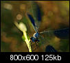 Kliknij obrazek, aby uzyskać większą wersję

Nazwa:	P8012214.JPG
Wyświetleń:	89
Rozmiar:	125,4 KB
ID:	37224