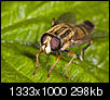 Kliknij obrazek, aby uzyskać większą wersję

Nazwa:	_7310628.jpg
Wyświetleń:	72
Rozmiar:	297,9 KB
ID:	39723