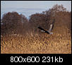 Kliknij obrazek, aby uzyskać większą wersję

Nazwa:	PB143704-2.jpg
Wyświetleń:	142
Rozmiar:	231,1 KB
ID:	40865