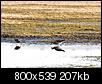 Kliknij obrazek, aby uzyskać większą wersję

Nazwa:	PM170812_gimp.jpg
Wyświetleń:	118
Rozmiar:	207,4 KB
ID:	41098
