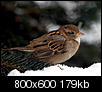 Kliknij obrazek, aby uzyskać większą wersję

Nazwa:	helmuthOrg.jpg
Wyświetleń:	60
Rozmiar:	179,3 KB
ID:	41345