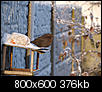 Kliknij obrazek, aby uzyskać większą wersję

Nazwa:	PC250993.jpg
Wyświetleń:	293
Rozmiar:	376,1 KB
ID:	41889