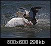 Kliknij obrazek, aby uzyskać większą wersję

Nazwa:	877.jpg
Wyświetleń:	95
Rozmiar:	297,6 KB
ID:	48658