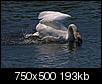 Kliknij obrazek, aby uzyskać większą wersję

Nazwa:	879.jpg
Wyświetleń:	75
Rozmiar:	193,0 KB
ID:	48731