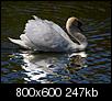 Kliknij obrazek, aby uzyskać większą wersję

Nazwa:	885.jpg
Wyświetleń:	77
Rozmiar:	246,8 KB
ID:	48737
