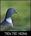 Kliknij obrazek, aby uzyskać większą wersję

Nazwa:	886.jpg
Wyświetleń:	124
Rozmiar:	161,6 KB
ID:	48826