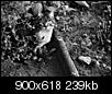 Kliknij obrazek, aby uzyskać większą wersję

Nazwa:	kot0031.jpg
Wyświetleń:	108
Rozmiar:	238,6 KB
ID:	51410