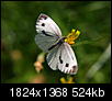 Kliknij obrazek, aby uzyskać większą wersję

Nazwa:	P8279636.jpg
Wyświetleń:	199
Rozmiar:	523,8 KB
ID:	53562