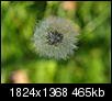 Kliknij obrazek, aby uzyskać większą wersję

Nazwa:	P8279591.jpg
Wyświetleń:	189
Rozmiar:	464,7 KB
ID:	53563