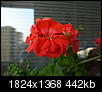 Kliknij obrazek, aby uzyskać większą wersję

Nazwa:	P8279685.jpg
Wyświetleń:	115
Rozmiar:	441,7 KB
ID:	53573