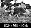 Kliknij obrazek, aby uzyskać większą wersję

Nazwa:	P9043425.jpg
Wyświetleń:	80
Rozmiar:	409,8 KB
ID:	54218