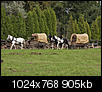 Kliknij obrazek, aby uzyskać większą wersję

Nazwa:	008.jpg
Wyświetleń:	43
Rozmiar:	905,3 KB
ID:	54647