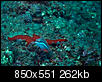 Kliknij obrazek, aby uzyskać większą wersję

Nazwa:	P9161296 peq..jpg
Wyświetleń:	60
Rozmiar:	262,1 KB
ID:	54901