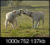 Kliknij obrazek, aby uzyskać większą wersję

Nazwa:	PA147976_zapasy.jpg
Wyświetleń:	72
Rozmiar:	136,8 KB
ID:	56016