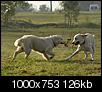 Kliknij obrazek, aby uzyskać większą wersję

Nazwa:	PA147980_zapasy.jpg
Wyświetleń:	58
Rozmiar:	125,7 KB
ID:	56017