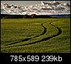 Kliknij obrazek, aby uzyskać większą wersję

Nazwa:	PA137263am.jpg
Wyświetleń:	62
Rozmiar:	238,7 KB
ID:	56117