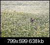Kliknij obrazek, aby uzyskać większą wersję

Nazwa:	73.jpg
Wyświetleń:	66
Rozmiar:	637,5 KB
ID:	56313
