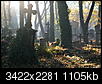Kliknij obrazek, aby uzyskać większą wersję

Nazwa:	PB031114.jpg
Wyświetleń:	136
Rozmiar:	1,08 MB
ID:	56772