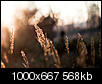 Kliknij obrazek, aby uzyskać większą wersję

Nazwa:	HD118637.jpg
Wyświetleń:	101
Rozmiar:	567,6 KB
ID:	57075