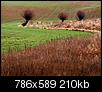 Kliknij obrazek, aby uzyskać większą wersję

Nazwa:	PC111113am.jpg
Wyświetleń:	63
Rozmiar:	209,8 KB
ID:	57942