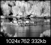 Kliknij obrazek, aby uzyskać większą wersję

Nazwa:	wybielaczek_S.jpg
Wyświetleń:	102
Rozmiar:	332,2 KB
ID:	58038
