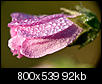 Kliknij obrazek, aby uzyskać większą wersję

Nazwa:	_9215940.jpg
Wyświetleń:	51
Rozmiar:	92,2 KB
ID:	60698
