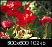 Kliknij obrazek, aby uzyskać większą wersję

Nazwa:	P7176955.jpg
Wyświetleń:	44
Rozmiar:	102,4 KB
ID:	61466