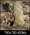 Kliknij obrazek, aby uzyskać większą wersję

Nazwa:	1046.jpg
Wyświetleń:	80
Rozmiar:	422,8 KB
ID:	62182
