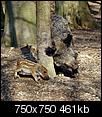Kliknij obrazek, aby uzyskać większą wersję

Nazwa:	1045.jpg
Wyświetleń:	84
Rozmiar:	460,5 KB
ID:	62183