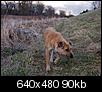 Kliknij obrazek, aby uzyskać większą wersję

Nazwa:	zeroA 2.jpg
Wyświetleń:	62
Rozmiar:	90,5 KB
ID:	62757