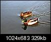 Kliknij obrazek, aby uzyskać większą wersję

Nazwa:	5.jpg
Wyświetleń:	78
Rozmiar:	329,2 KB
ID:	63322