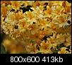 Kliknij obrazek, aby uzyskać większą wersję

Nazwa:	P5139017.jpg
Wyświetleń:	40
Rozmiar:	412,7 KB
ID:	64303