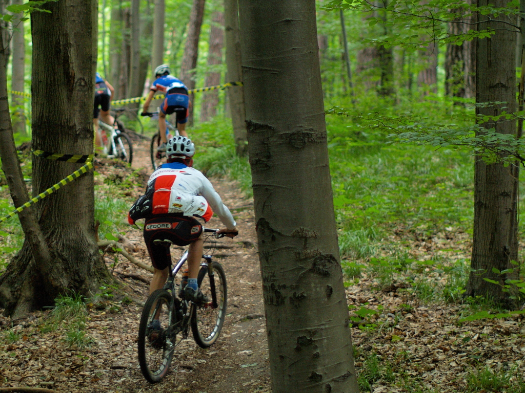 Kliknij obrazek, aby uzyskać większą wersję

Nazwa:	P0033281.1.jpg
Wyświetleń:	204
Rozmiar:	620,8 KB
ID:	65528