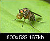 Kliknij obrazek, aby uzyskać większą wersję

Nazwa:	2012 05 21 008.jpg
Wyświetleń:	45
Rozmiar:	167,3 KB
ID:	65697