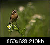 Kliknij obrazek, aby uzyskać większą wersję

Nazwa:	P6079502.jpg
Wyświetleń:	57
Rozmiar:	210,1 KB
ID:	65738