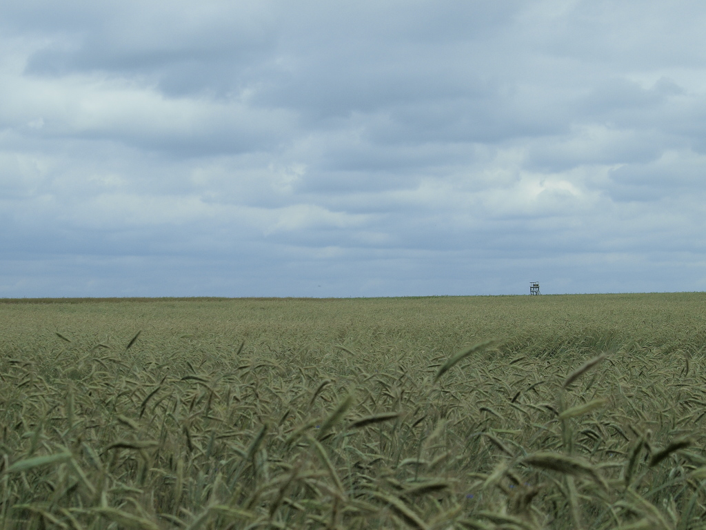 Kliknij obrazek, aby uzyskać większą wersję

Nazwa:	_D262518.jpg
Wyświetleń:	152
Rozmiar:	313,7 KB
ID:	66275