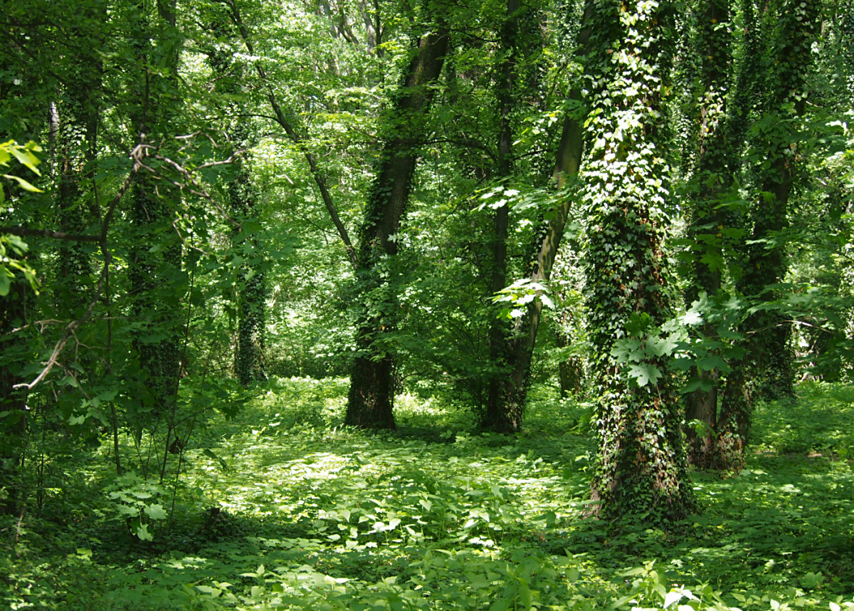 Nazwa:  1.jpg
Wyświetleń: 310
Rozmiar:  635,1 KB