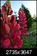 Kliknij obrazek, aby uzyskać większą wersję

Nazwa:	P4214068.jpg
Wyświetleń:	96
Rozmiar:	456,7 KB
ID:	66672