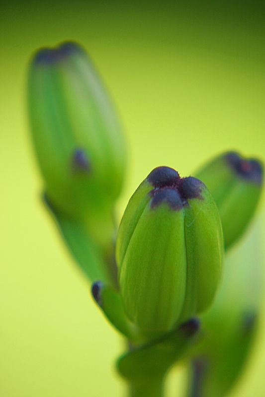 Nazwa:  p6296972.jpg
Wyświetleń: 94
Rozmiar:  252,3 KB