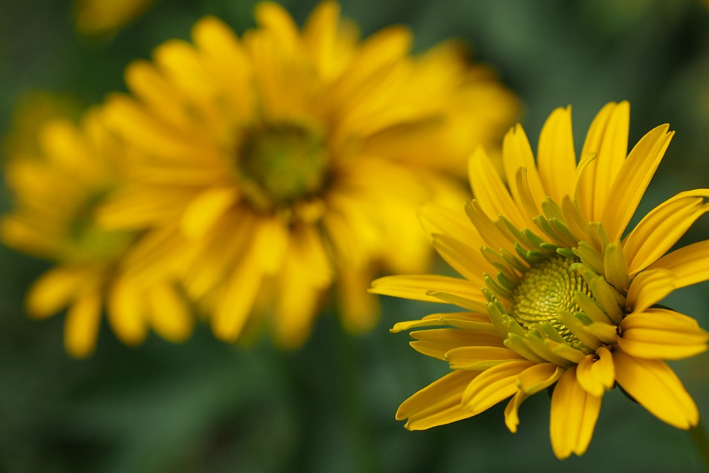 Nazwa:  24.jpg
Wyświetleń: 253
Rozmiar:  126,2 KB