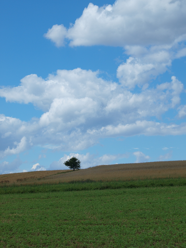 Kliknij obrazek, aby uzyskać większą wersję

Nazwa:	P7123794.jpg
Wyświetleń:	155
Rozmiar:	337,1 KB
ID:	66851