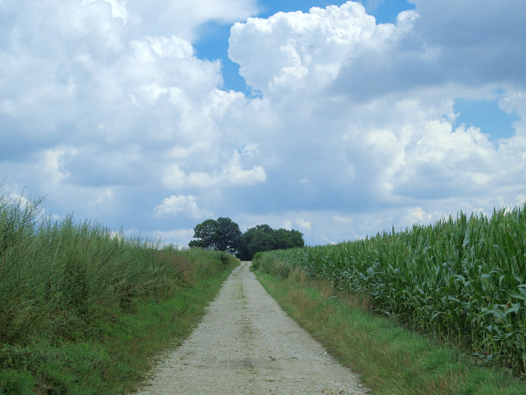 Kliknij obrazek, aby uzyskać większą wersję

Nazwa:	P7163931.jpg
Wyświetleń:	170
Rozmiar:	417,7 KB
ID:	67095