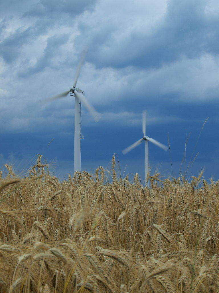 Kliknij obrazek, aby uzyskać większą wersję

Nazwa:	P7194152.jpg
Wyświetleń:	168
Rozmiar:	364,8 KB
ID:	67128