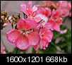 Kliknij obrazek, aby uzyskać większą wersję

Nazwa:	P1150276.jpg
Wyświetleń:	97
Rozmiar:	668,0 KB
ID:	68194