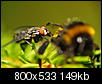 Kliknij obrazek, aby uzyskać większą wersję

Nazwa:	P7236608.jpg
Wyświetleń:	70
Rozmiar:	149,4 KB
ID:	68324