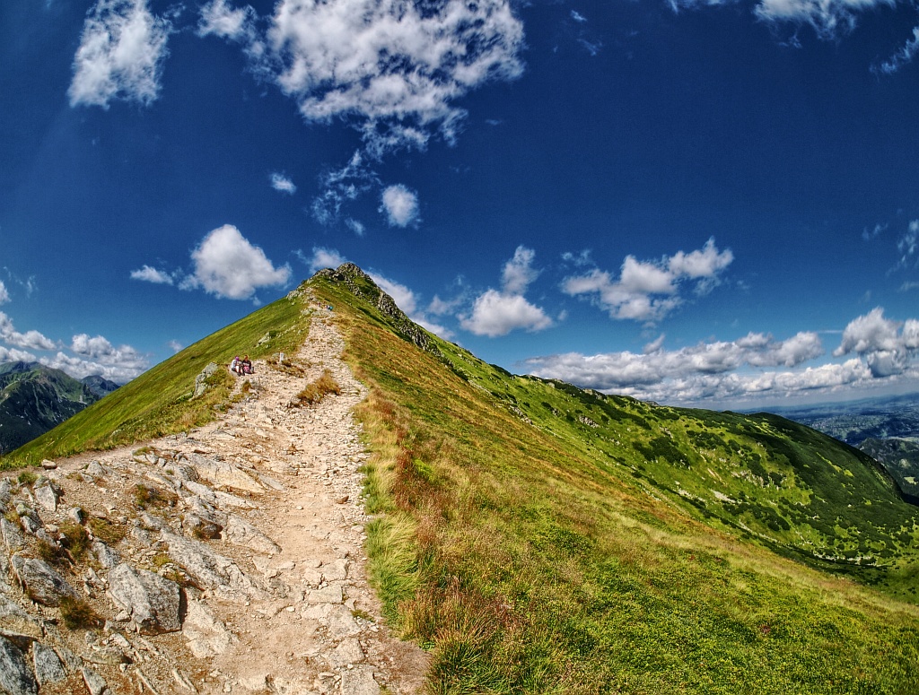 Nazwa:  P8082822_3_4_5_6_7_8.jpg
Wyświetleń: 380
Rozmiar:  419,8 KB