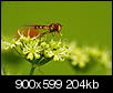 Kliknij obrazek, aby uzyskać większą wersję

Nazwa:	P7246687.jpg
Wyświetleń:	99
Rozmiar:	203,9 KB
ID:	68888