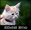 Kliknij obrazek, aby uzyskać większą wersję

Nazwa:	Emil_02.jpg
Wyświetleń:	99
Rozmiar:	391,4 KB
ID:	68921